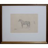 Circle of Sir Alfred J Munnings, Horse study, pencil drawing, bears initials lower left, 16 x 23cm