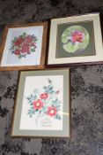 TWO FRAMED MIXED MEDIA BOTANICAL ILLUSTRATIONS, THE LARGER WIDTH APPROX 38CM