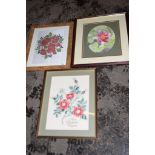 TWO FRAMED MIXED MEDIA BOTANICAL ILLUSTRATIONS, THE LARGER WIDTH APPROX 38CM