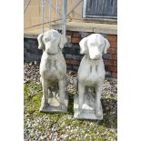 PAIR COMPOSITION FIGURES OF SEATED HOUNDS H 75CM