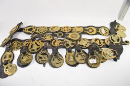 QTY OF HORSE BRASSES ON LEATHER STRAPS