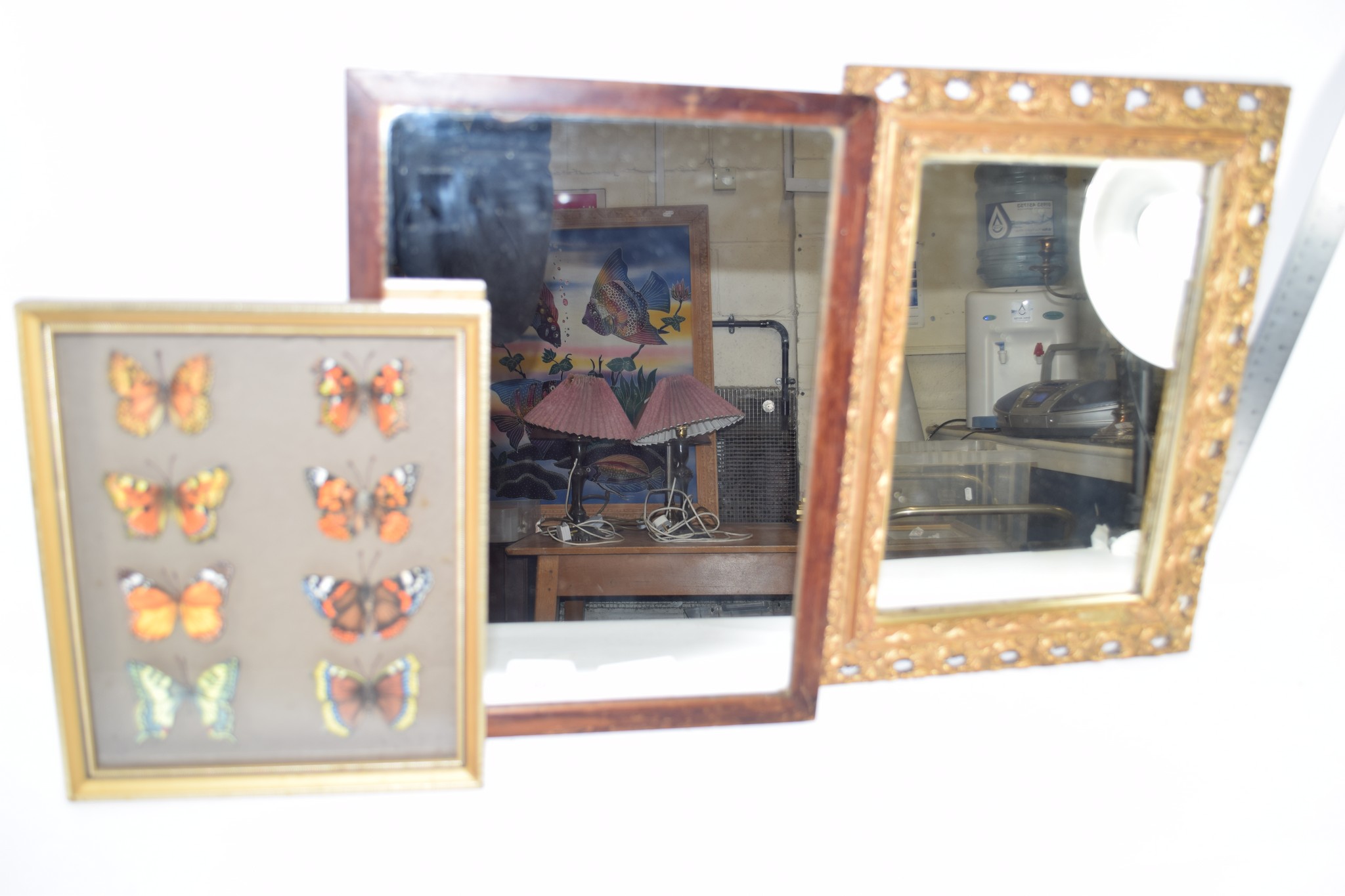 TWO MIRRORS, ONE IN WOODEN FRAME THE OTHER IN GILT FRAME AND COLLECTION OF BUTTERFLIES IN WOODEN