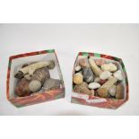TWO BOXES CONTAINING VARIOUS STONES AND SHELLS