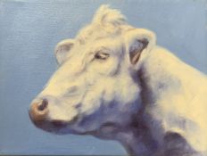 Luke Morgan, "Cow study" and "Vache blanc", pair of oils on canvas, both signed and dated 05