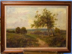 G Boyle, Landscape, oil on canvas, signed lower left, 50 x 75cm (a/f)
