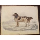 Archer, Dog in landscape, pencil and watercolour, inscribed and dated 1837 lower right, 19 x 24cm,