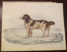 Archer, Dog in landscape, pencil and watercolour, inscribed and dated 1837 lower right, 19 x 24cm,