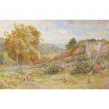 A F Perrin, Landscape with sheep, watercolour, signed lower right, 35 x 54cm