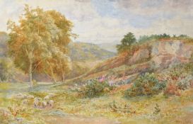 A F Perrin, Landscape with sheep, watercolour, signed lower right, 35 x 54cm