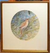 Simon T Trinder, "Nightingale", watercolour, signed lower right, 28 x 25cm