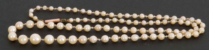 Single row of cultured graduated pearls, 5/3mm, to a 9ct stamped barrel clasp, 26cm long fastened
