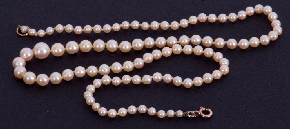 Single row of graduated cultured pearls, 6mm-2mm, 49cm long, to a 9K stamped later clasp fitting - Image 3 of 4