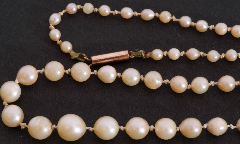 Single row of cultured graduated pearls, 5/3mm, to a 9ct stamped barrel clasp, 26cm long fastened - Image 3 of 4