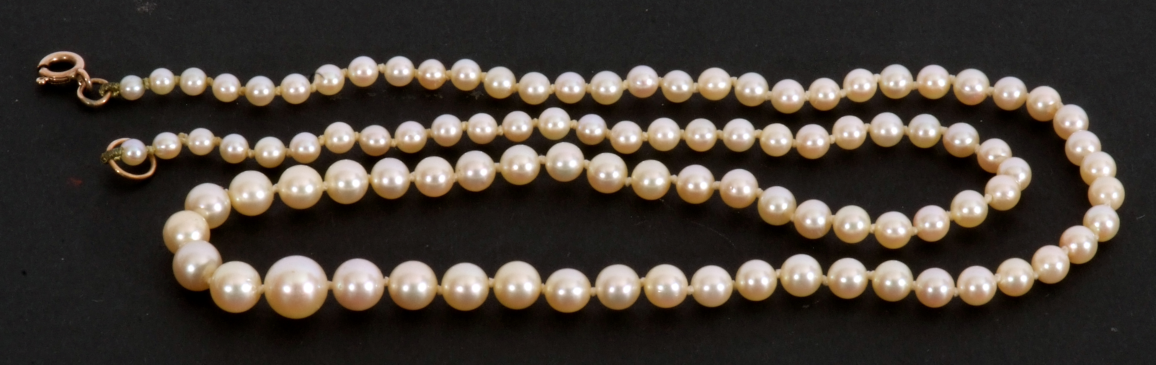 Single row of graduated cultured pearls, 6mm-2mm, 49cm long, to a 9K stamped later clasp fitting - Image 2 of 4