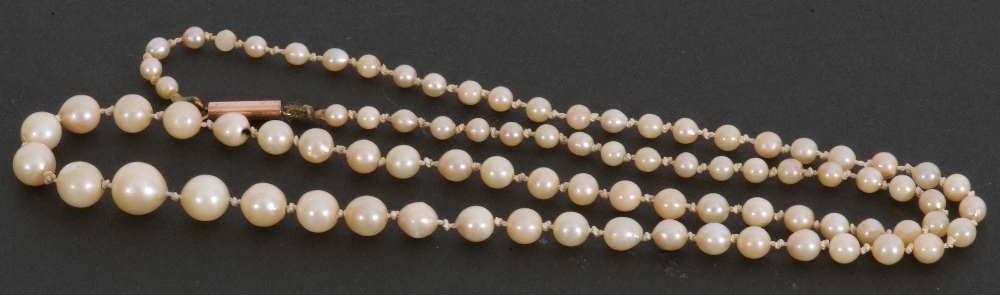 Single row of cultured graduated pearls, 5/3mm, to a 9ct stamped barrel clasp, 26cm long fastened - Image 4 of 4