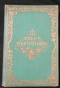 MRS R LEE: TREES, PLANTS AND FLOWERS, London, Grant & Griffith, 1854, 1st edition, 8 hand coloured