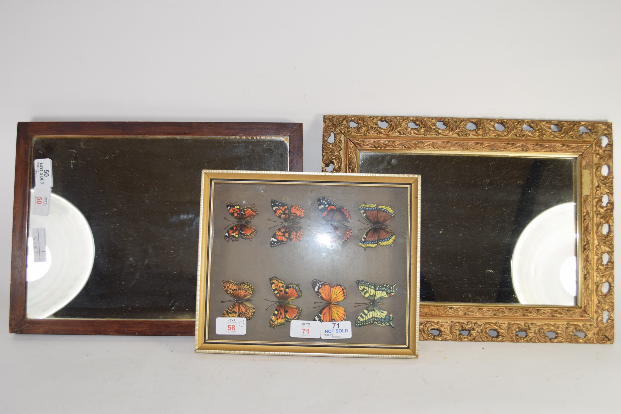 CASE OF BUTTERFLIES AND SMALL WALL MIRROR IN GILT FRAME - Image 2 of 2