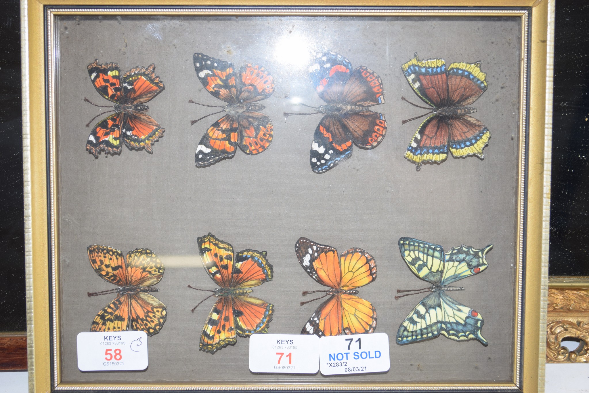 CASE OF BUTTERFLIES AND SMALL WALL MIRROR IN GILT FRAME