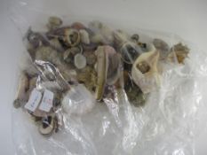 PLASTIC BAG CONTAINING VARIOUS COLOURED SEA SHELLS