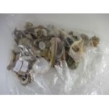 PLASTIC BAG CONTAINING VARIOUS COLOURED SEA SHELLS