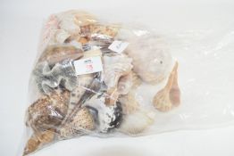 BAG OF COLOURED SEA SHELLS