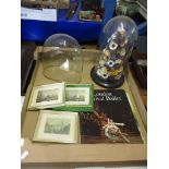 BOX CONTAINING A GLASS DOME, FURTHER DOME WITH PAPER FLOWERS ON WOODEN MOUNT, AND QUANTITY OF