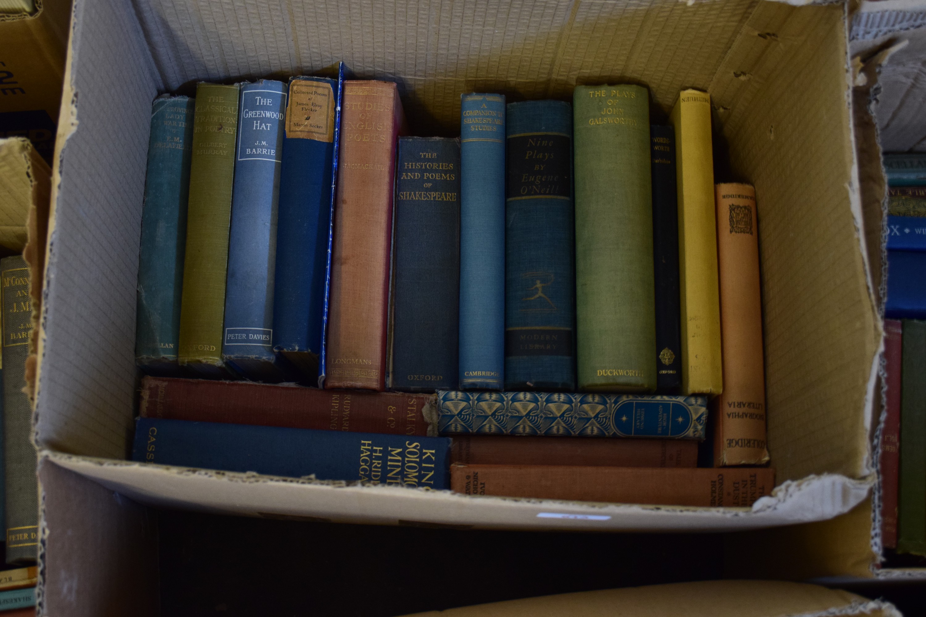 BOX OF MIXED BOOKS TO INCLUDE KING SOLOMON'S MINES, THE GREENWOOD HAT, THE HISTORIES AND POEMS OF