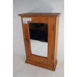 SMALL WOODEN GLAZED CABINET