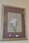 FRAMED PRINT OF FLOWERS