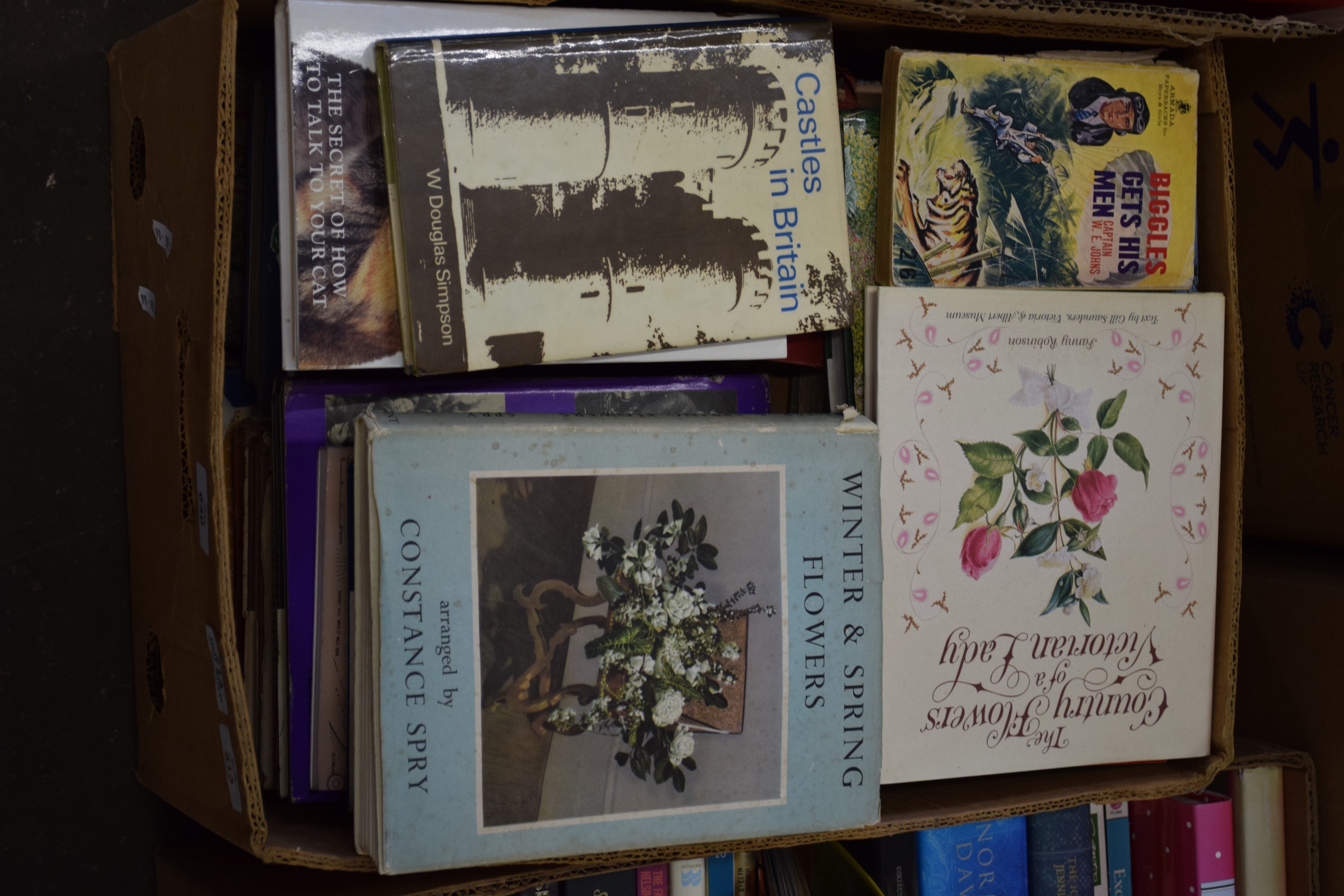 BOX OF MIXED BOOKS - WINTER AND SPRING FLOWERS, THE TAP WHISPERER, CASTLES IN BRITAIN ETC