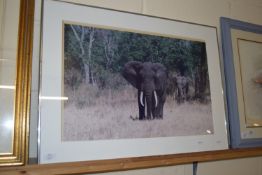 FRAMED PICTURE OF ELEPHANTS