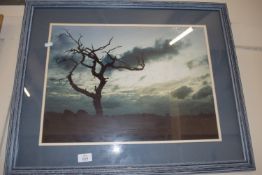 FRAMED PHOTOGRAPHIC PRINT OF RURAL SCENE, 69 X 56CM