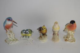 Quantity of porcelain bird studies including a Royal Worcester model of a woodpecker and a Royal