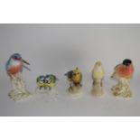 Quantity of porcelain bird studies including a Royal Worcester model of a woodpecker and a Royal