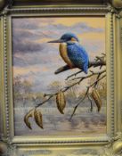 Mark Chester, "Autumn rest - Kingfisher", acrylic, signed lower right, 24 x 19cm