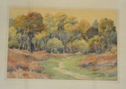 Frank C Belcher, sig LR, Watercolour, Woodland Landscape, unframed, mounted, 18 x 27cm