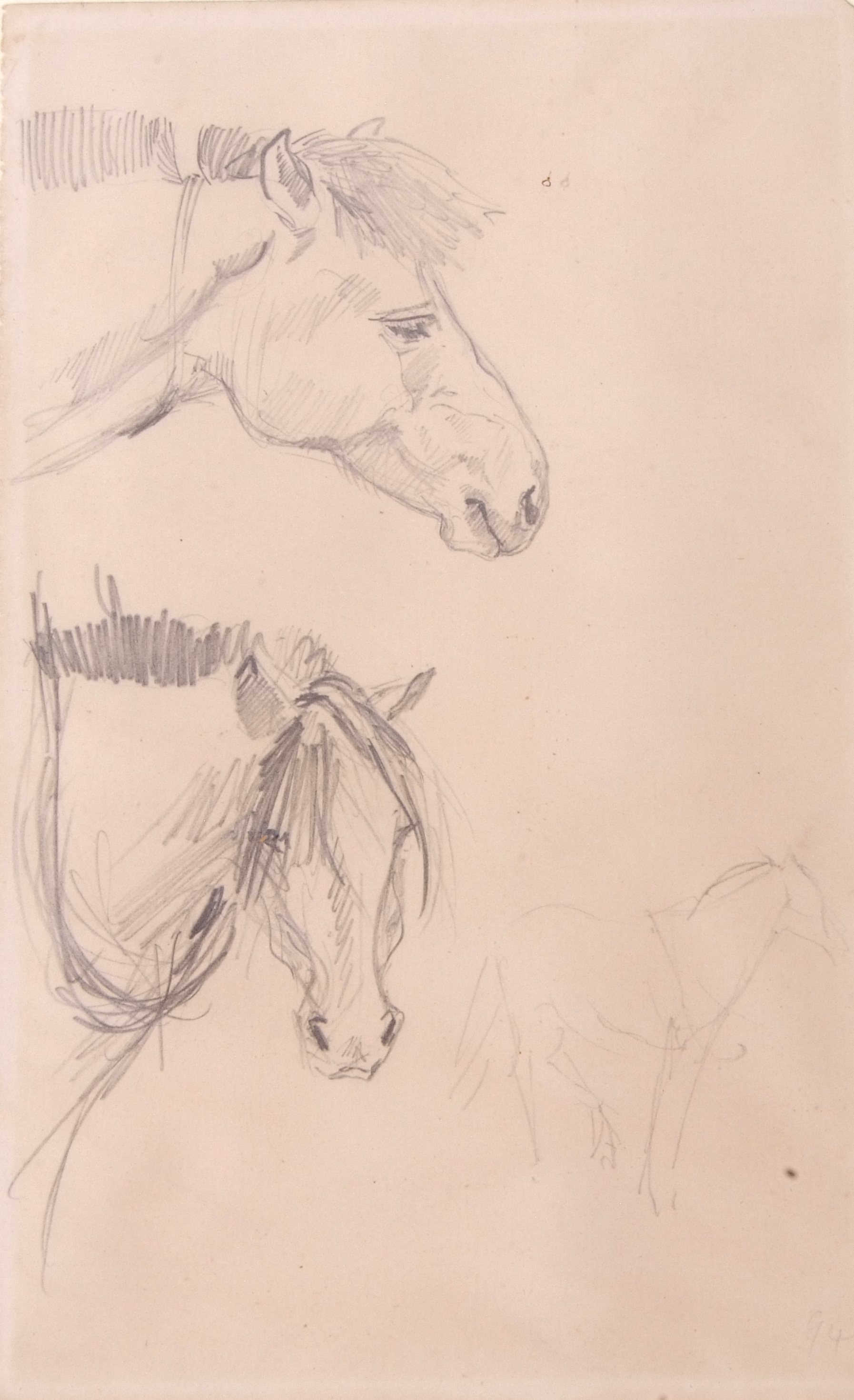 Pencil sketch, Horse Studies - Image 2 of 2