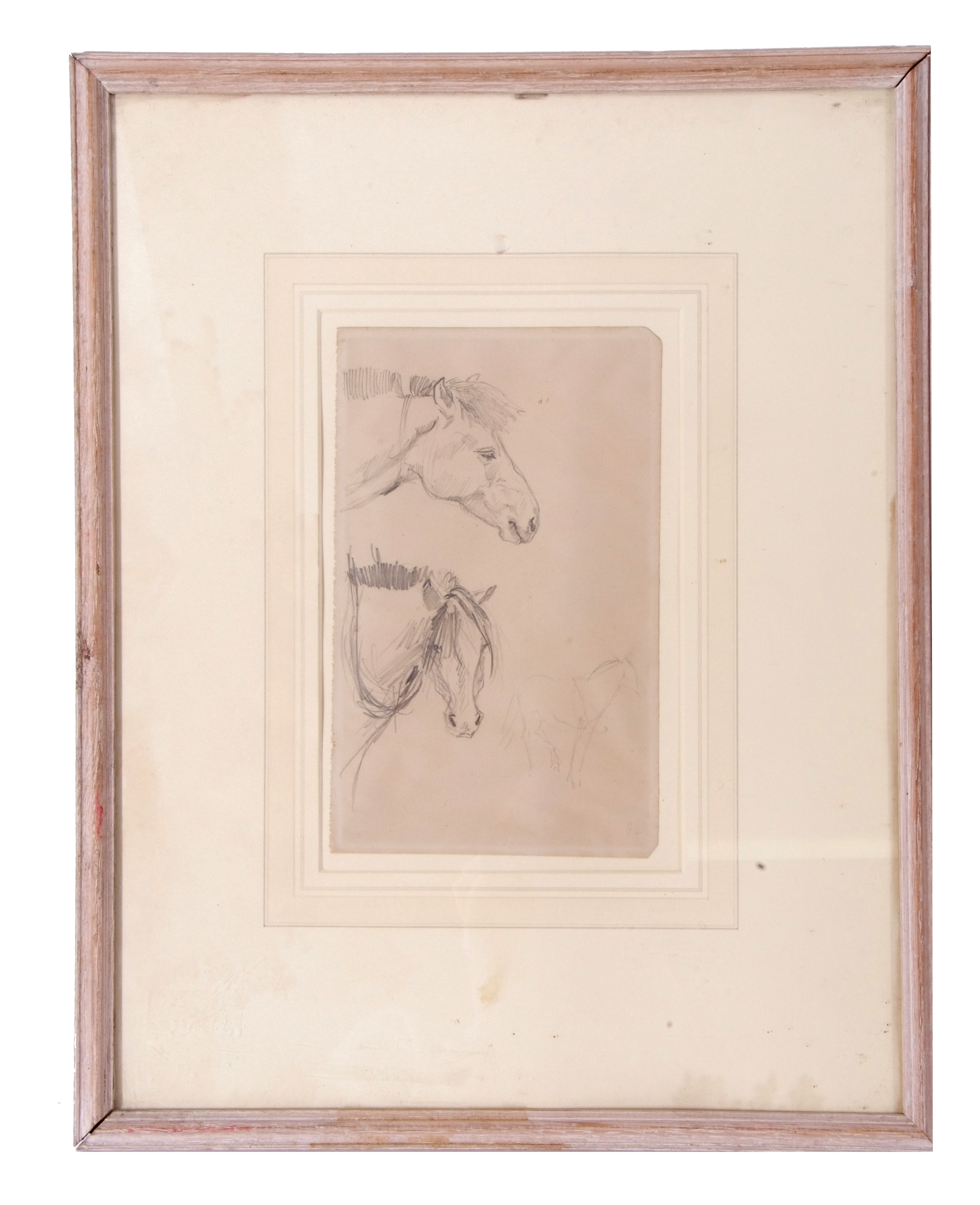 Pencil sketch, Horse Studies