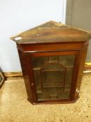 EARLY 20TH CENTURY ASTRAGAL GLAZED WALL CUPBOARD