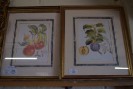 TWO BOTANICAL INTEREST PRINTS, TOGETHER WITH FRAMED MODERN SAMPLER AND A FRAMED PRINT SIGNED E W