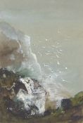 Group of three watercolours, one of a coastal scene with seabirds, plus two further watercolours