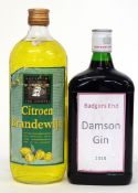 One bottle of Badgers End 2018 Damson Gin^ together with one litre of Citroen Brandywijn 1ltr^ 20%