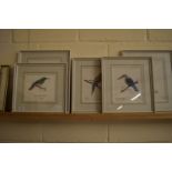 FIVE MODELS OF VARIOUS BIRDS ON FABRIC, ALL SIGNED BY T PEARSON, IN WHITE WOODEN FRAMES
