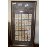 FRAMED SET OF WILLS "FLAGS" CIGARETTE CARDS