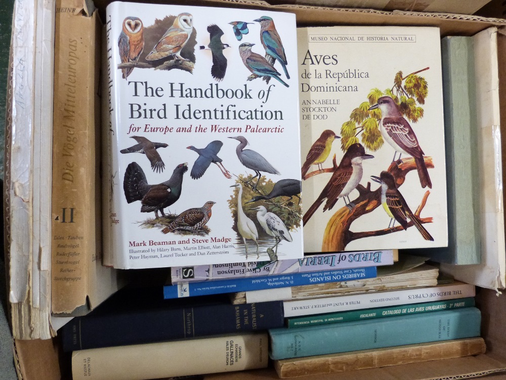 Box: Ornithology - Image 2 of 2
