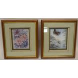 Two framed pictures, one of porcelain flowers in relief, the other of butterfly and foliage, both in