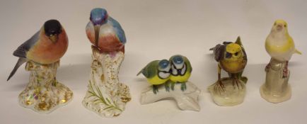 Quantity of porcelain bird studies including a Royal Worcester model of a woodpecker and a Royal