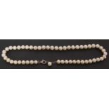 Modern cultured pearl necklace, a single row of uniform beads, 8mm diam, to a 925 lobster claw