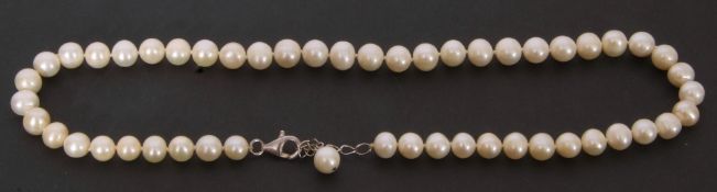Modern cultured pearl necklace, a single row of uniform beads, 8mm diam, to a 925 lobster claw