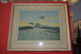 Peter Markham Scott, Print, signed in pencil with stamp to margin, Swans in Flight, 41cm x 53cm,